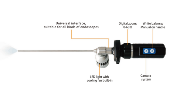 endoscopy structure